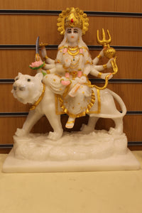 Navratri begins