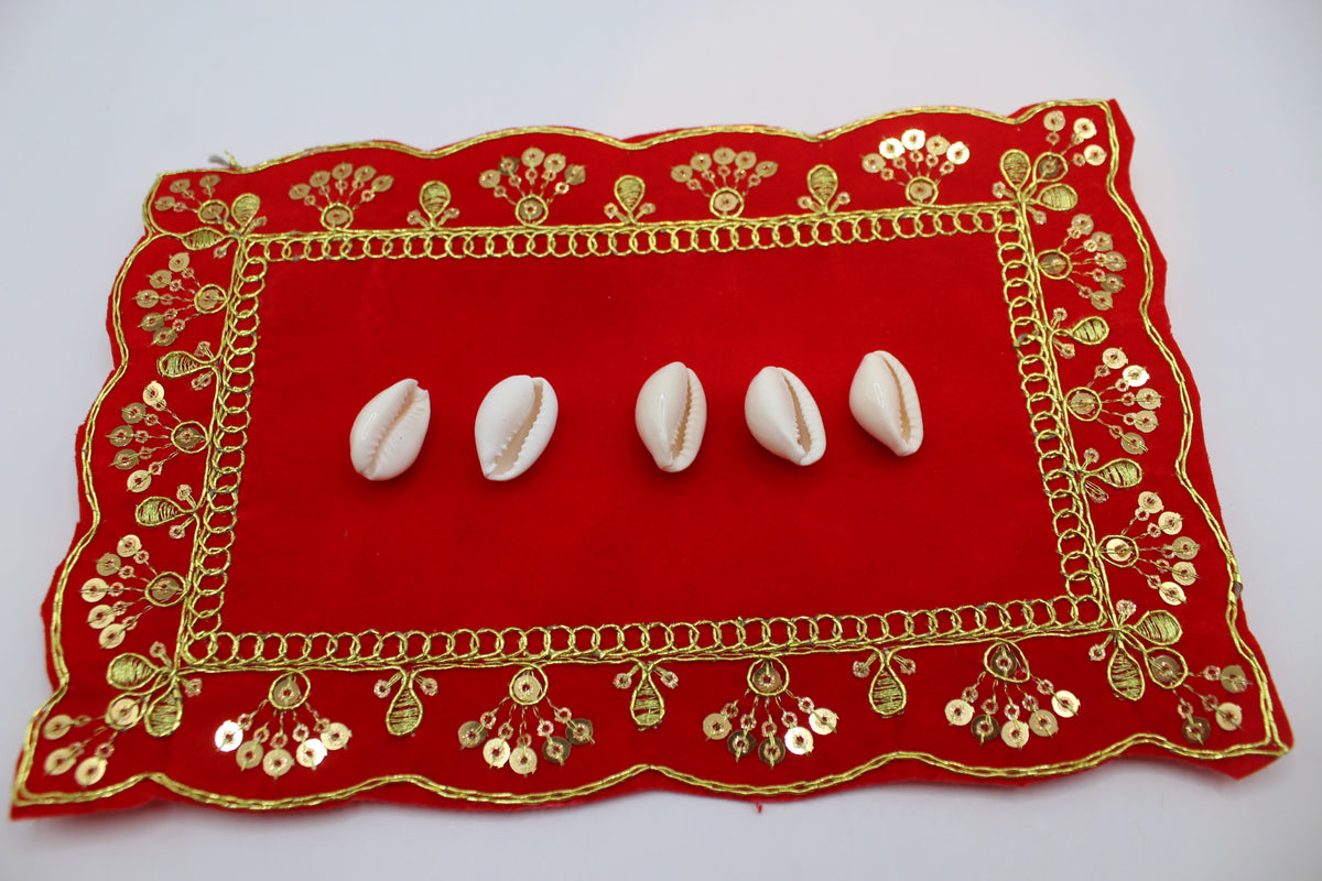 Kodi cowrie shells, another view