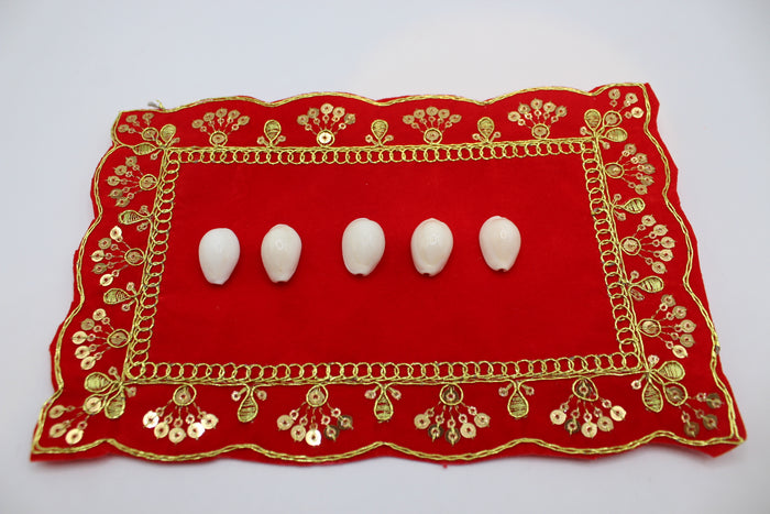 Kodi cowrie shells, front view