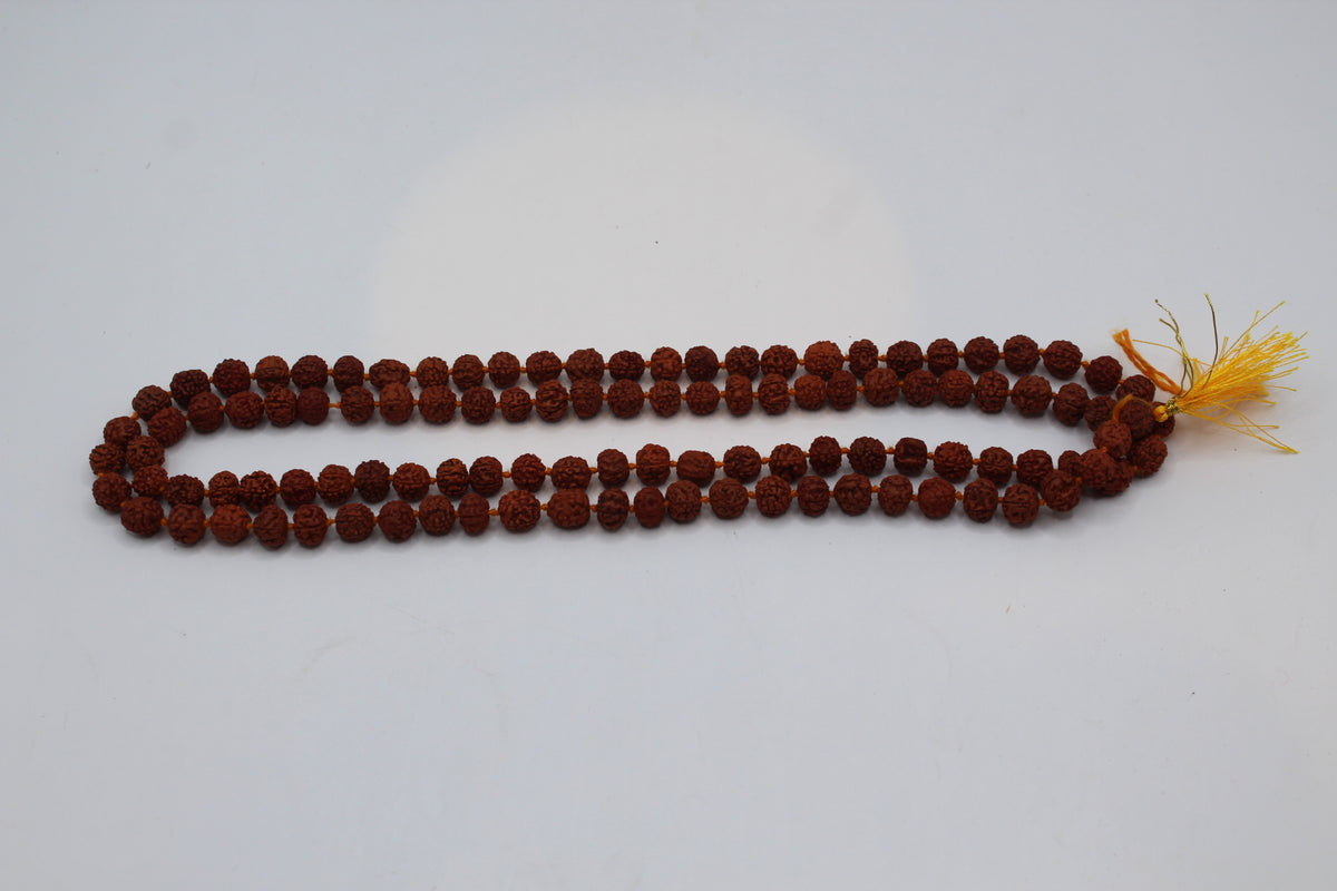 Rudraksh mala, large beads