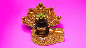Shivling Idol Murti for Daily Pooja Purpose (2.4cm x 2.2cm x 1cm) Golden