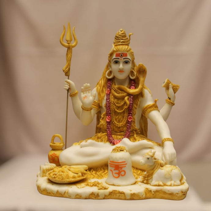 God Shiva,siva,Shankar,Mahadev,Sambhu, Bholenath, Shiv idol Multi color