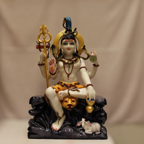 God Shiva,siva,Shankar,Mahadev,Sambhu, Bholenath, Shiv idol Multi color