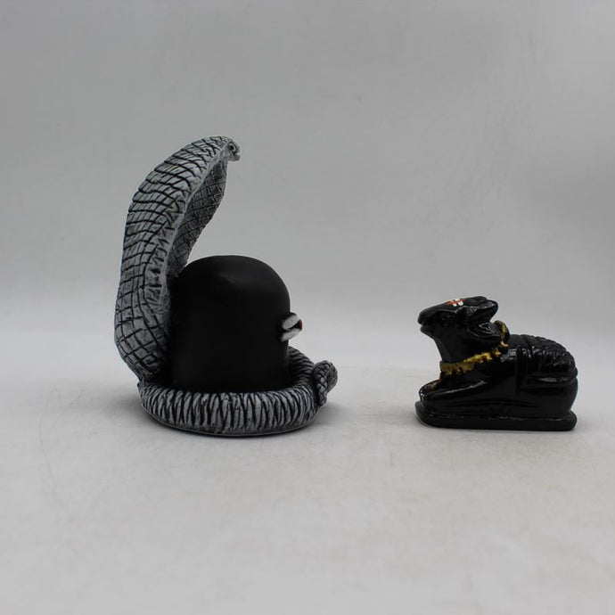 Shivling,Shiva Ling,Shiv Lingum,Shankar shivling with Black Nandi Black