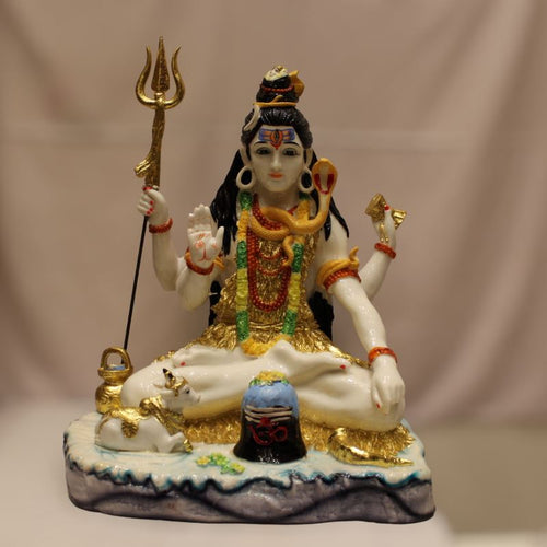God Shiva,siva,Shankar,Mahadev,Sambhu, Bholenath, Shiv idol Multi color